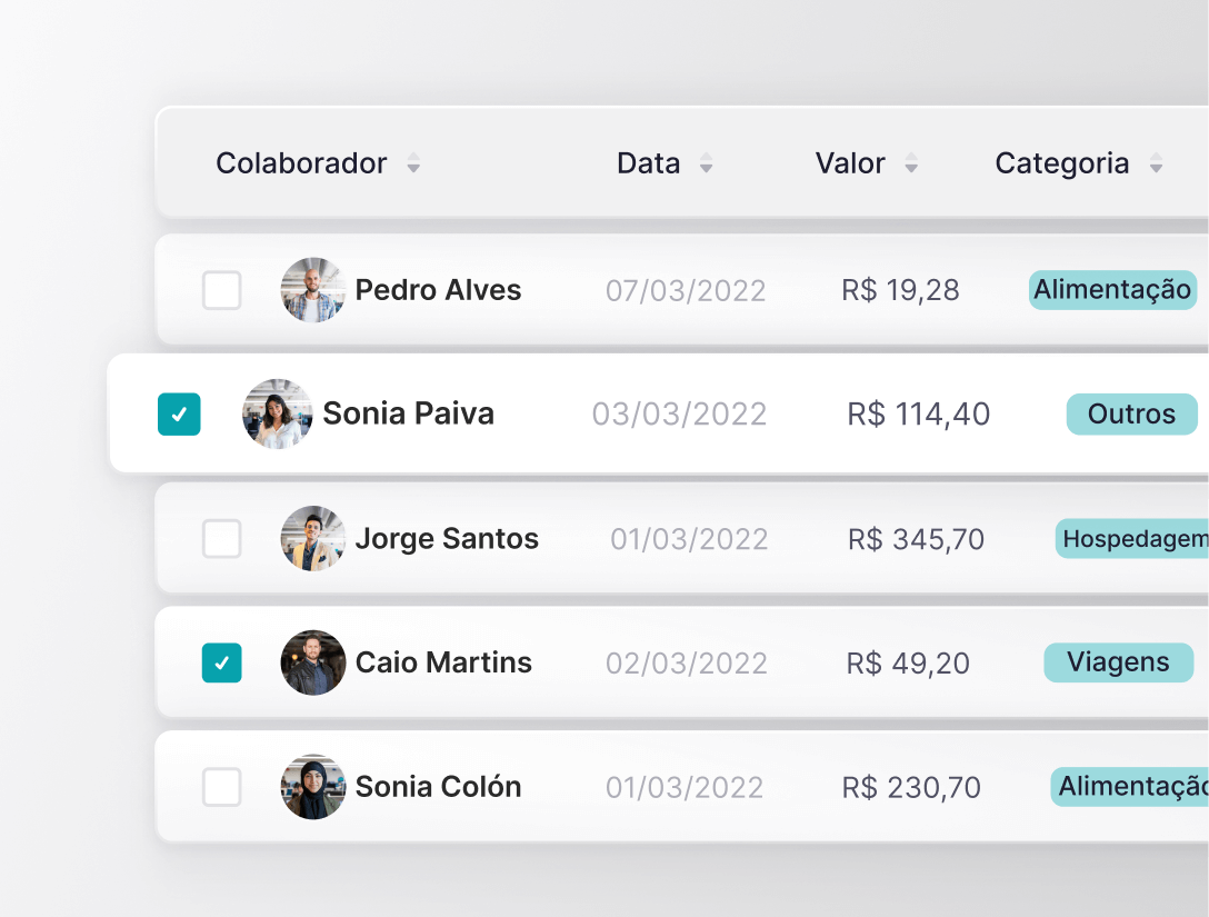 controle-despesas-funcionarios-software