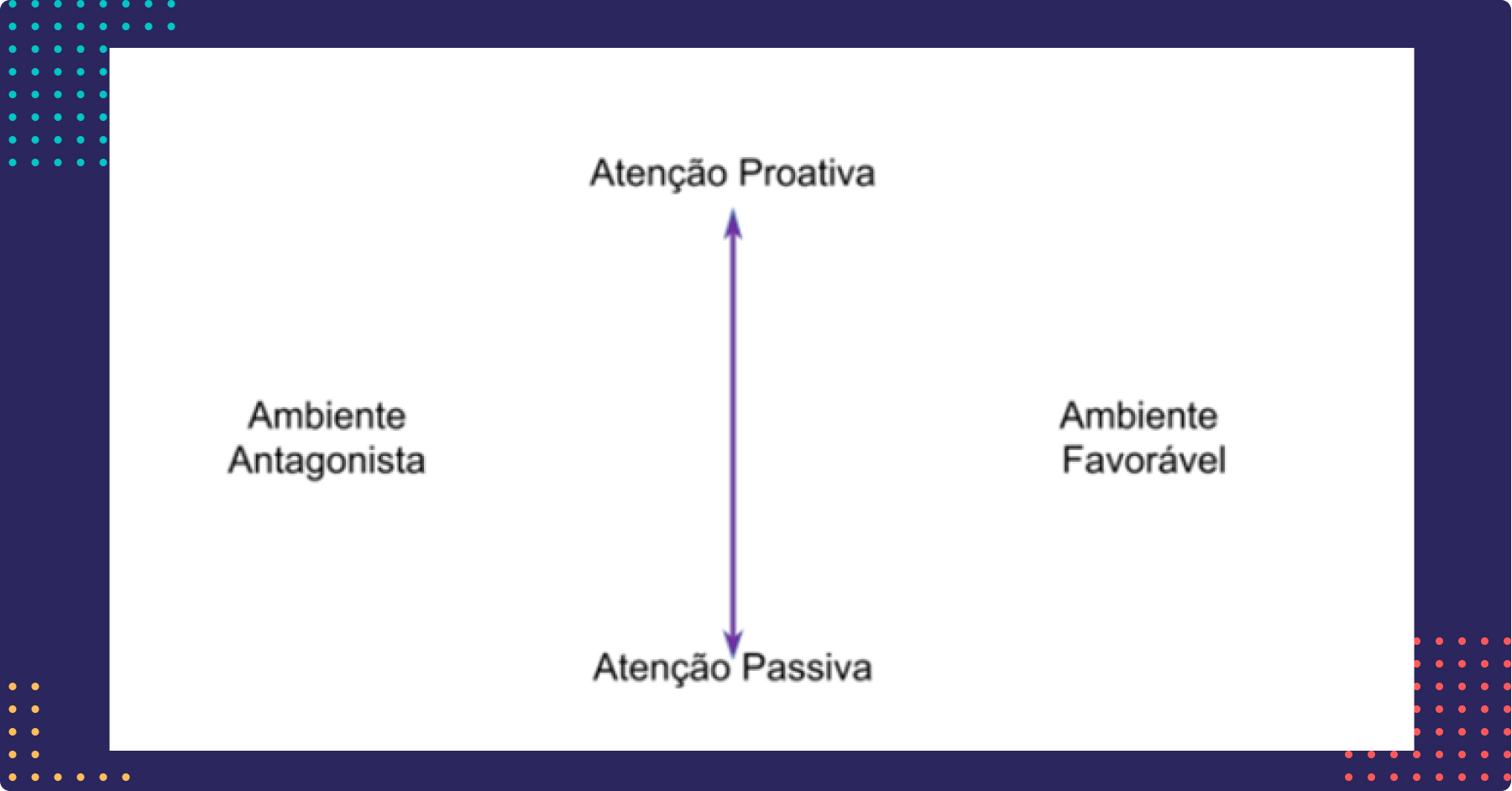 Perfil Comportamental: O que é e como aplicar a metodologia DISC